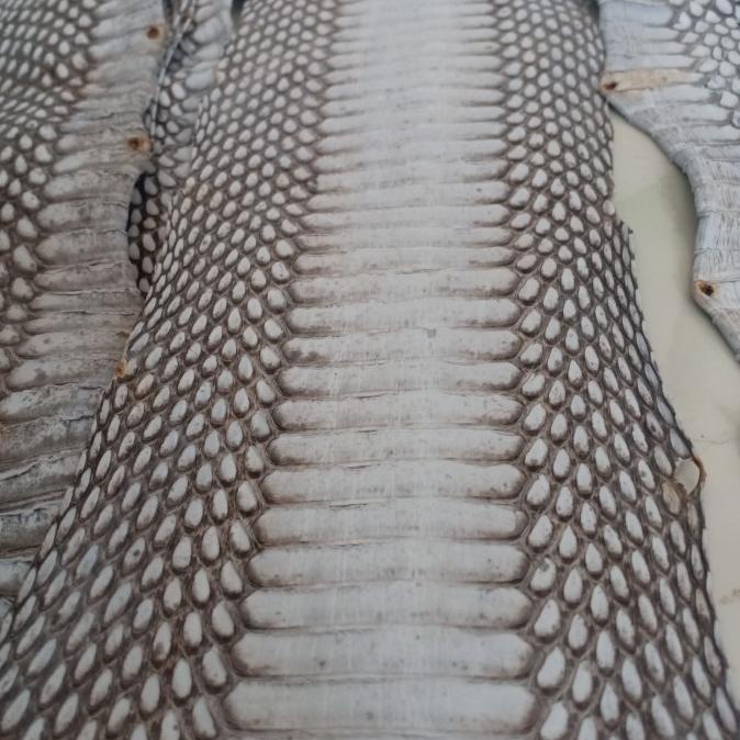 {SALE} Kulit ular cobra asli soft bahan baku dompet sabuk tas {Terlaris}