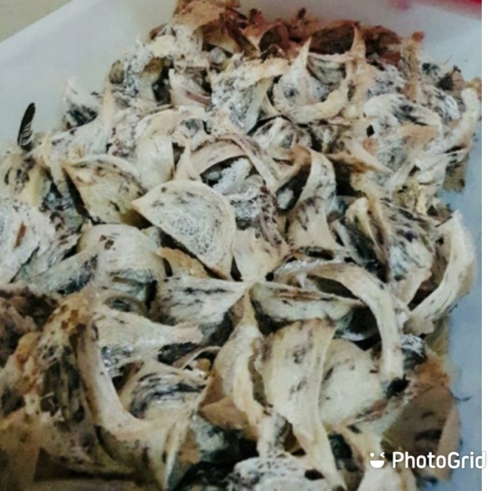

sarang burung walet kotor per 100gr