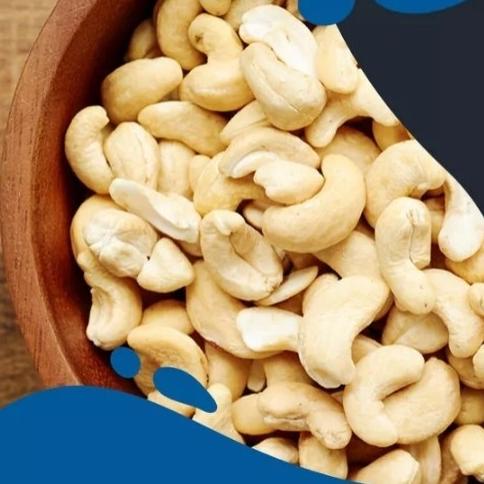 

BARANG TERLARIS KACANG MEDE W240 1KG READYY MAYANGSARI22054