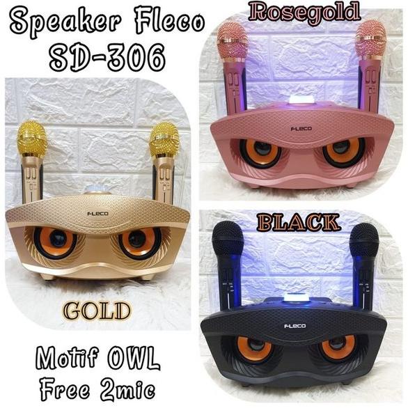 Speaker Fleco SDRD 306 bluetooth karaoke free dual microphone