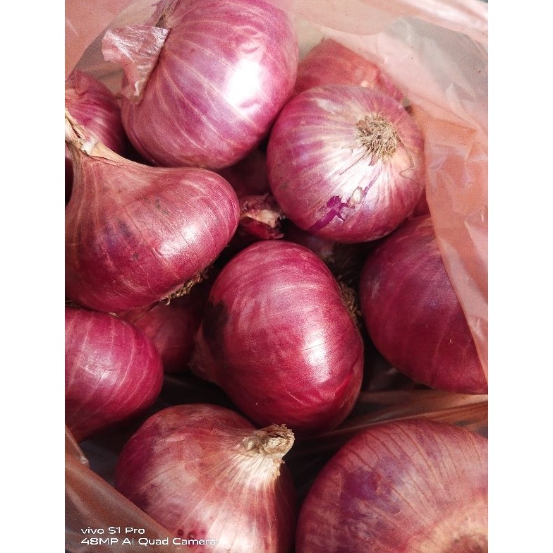 

Terbaru BAWANG MERAH INDIA 1kg