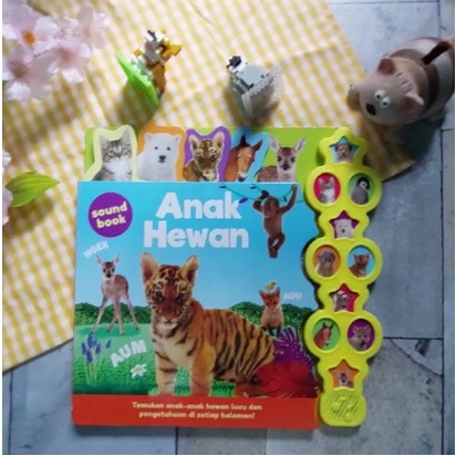 MUST HAVE BIG SOUND BOOK: ANAK HEWAN - IGLOO BOOKS TERMURAH