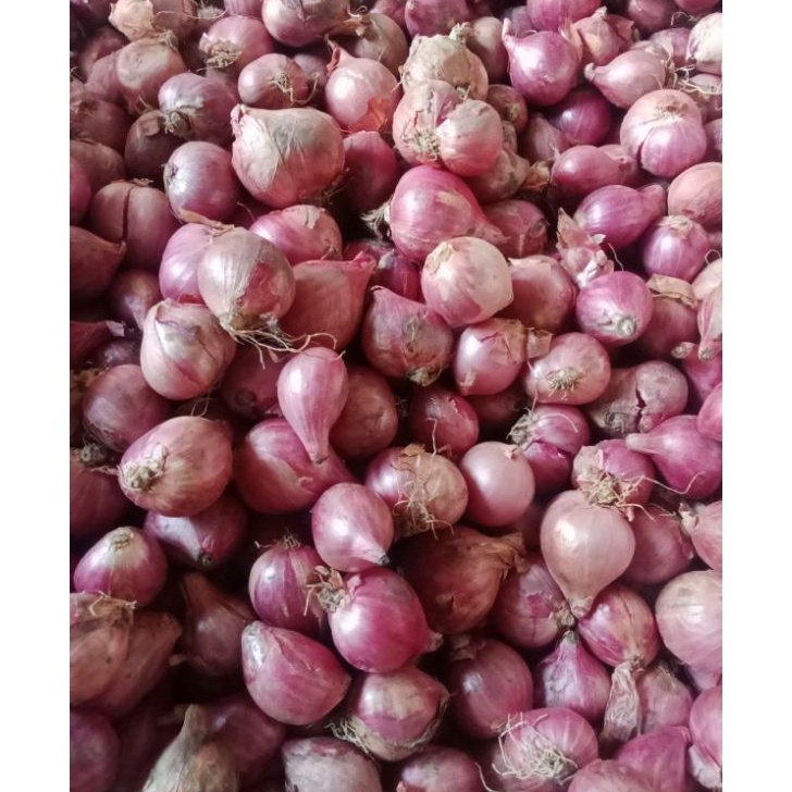 

NMZT1147 8.8 BAWANG MERAH 1kg diskon 50% saat live