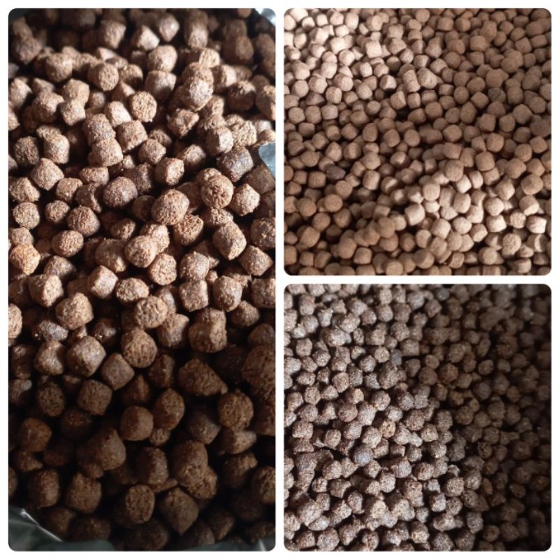 Pelet Lele/Pelet Ikan/ Pakan Ikan Apung 1Kg Ukuran 1mm,2mm,3mm dan 5mm (1kg)