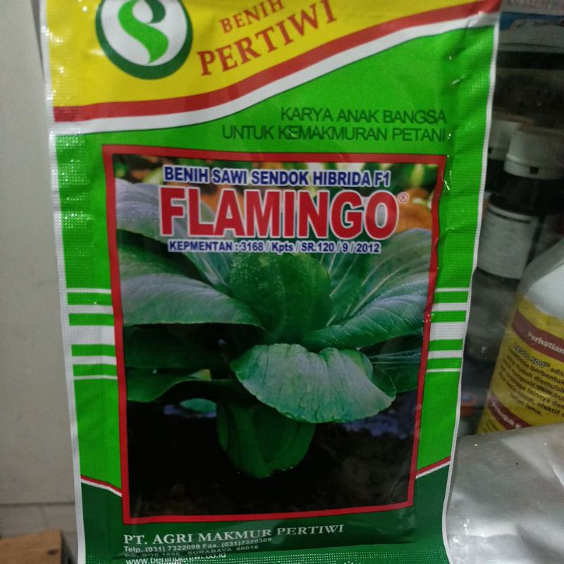 Benih Pakcoy Flaming-Flamingo benih sawi 50gr - Benih Pertiwi