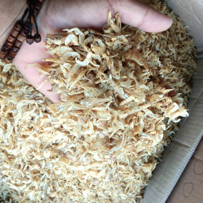 

Ikan asin rebon tawar jos