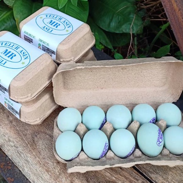 

DISCOUNT TODAY Paket Telur Asin MR isi 10