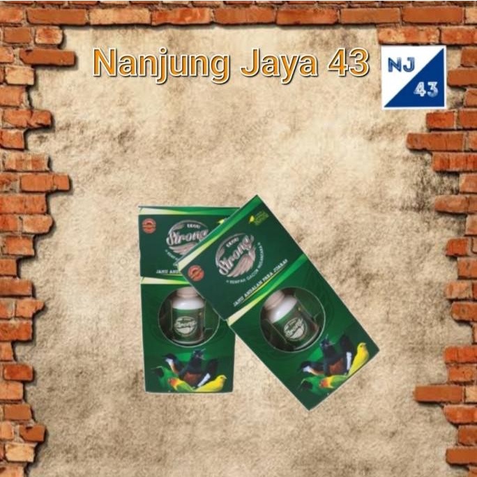 TOP vitamin burung ebod strong ebod jaya