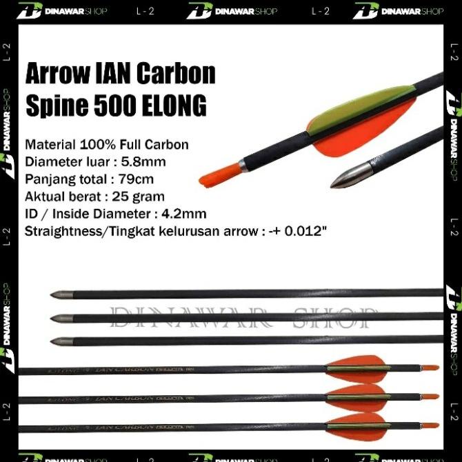 Anak Panah / Arrow Ian Carbon Elong Spine 500