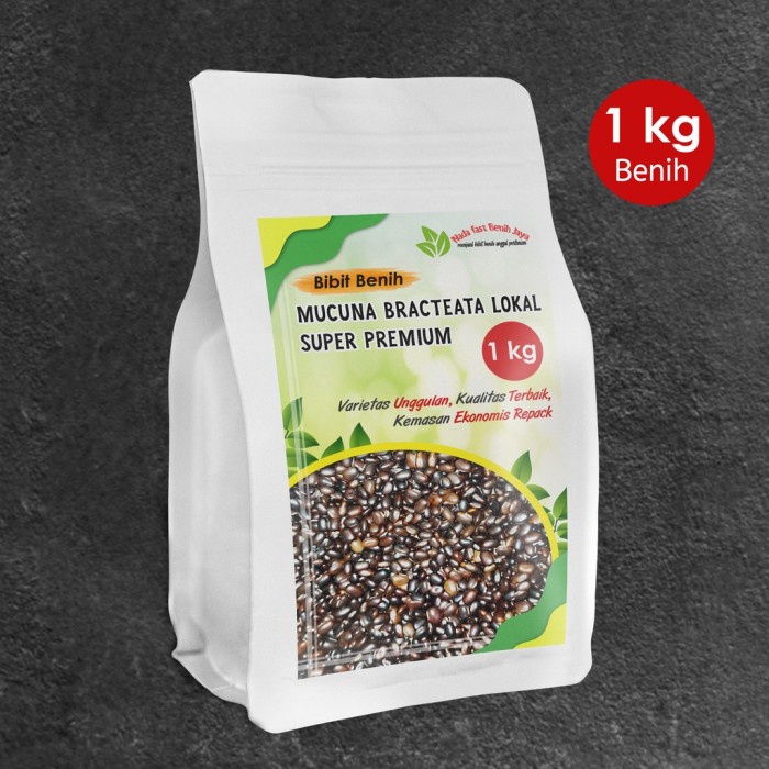 Benih Mucuna Bracteata super premium 1 kg / benih kacangan / MB / LCC
