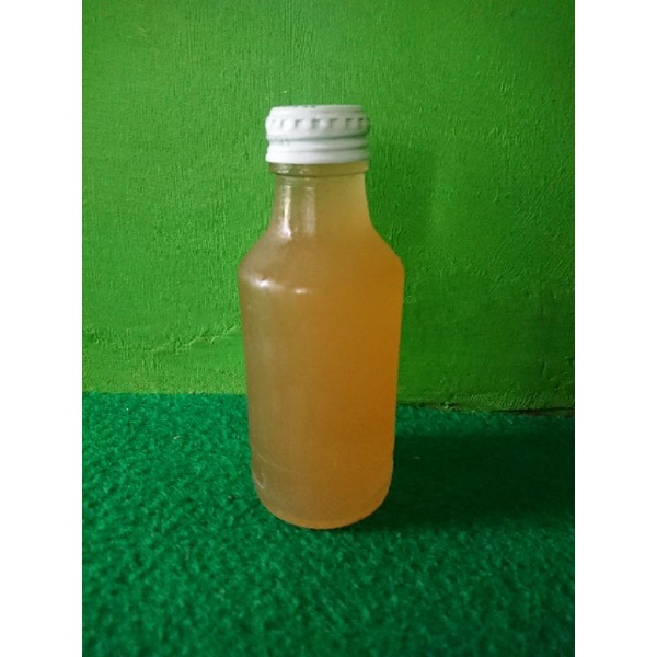 

Madu Kelulut||Madu Klanceng||Madu Kesehatan Murni Original 100%