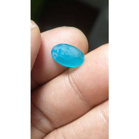 Bacan palamea waringin giwang