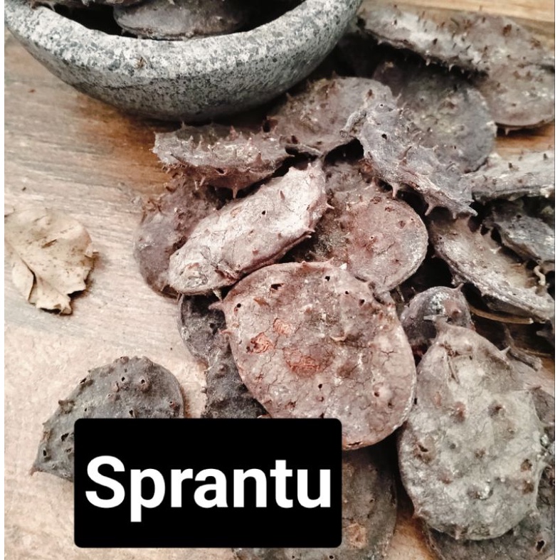 

Saparantu/Separantu/Sprantu Kering