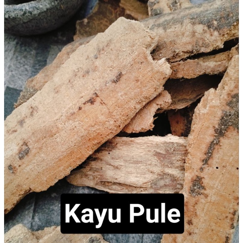 

Kayu Pule