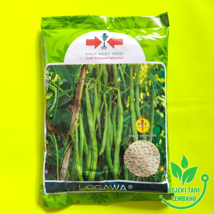 BIBIT BUNCIS//BENIH BUNCIS LOGAWA 500 GR