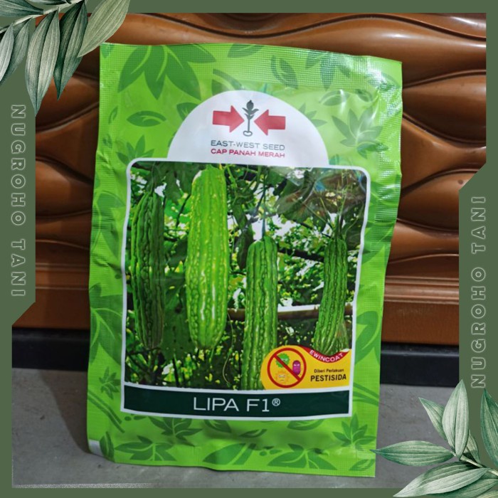 BENIH PARE LIPA F1 ISI 100 BUTIR PANAH MERAH