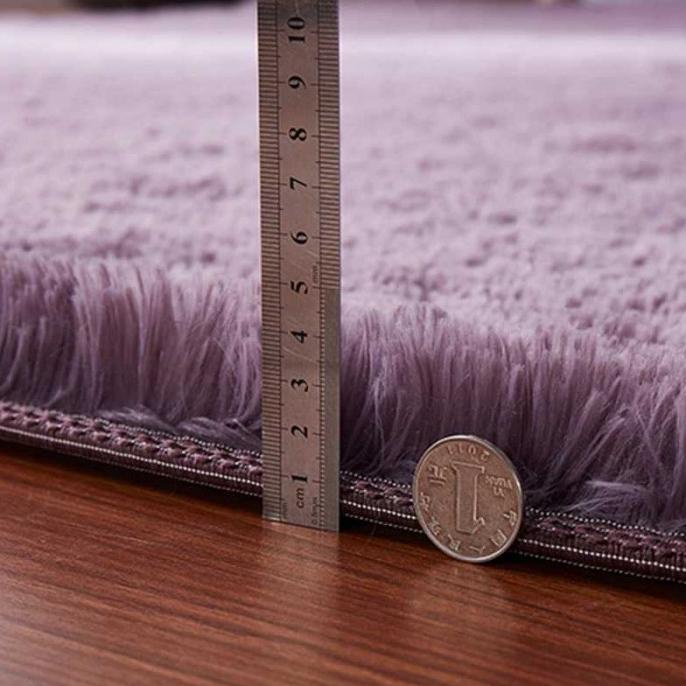 Karpet Bulu Matras Tikar Lantai Minimalis Kamar Tidur Dekorasi Anak