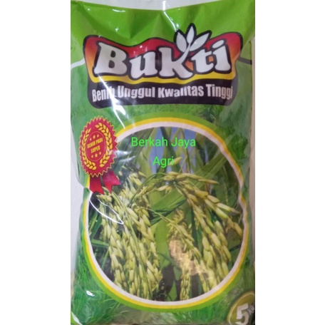 Benih/Bibit Padi Jumbo, Varietas Ciherang, Kemasan 5kg, exp 08-2025