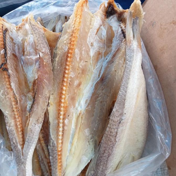 

ikan asin palu palu Pku