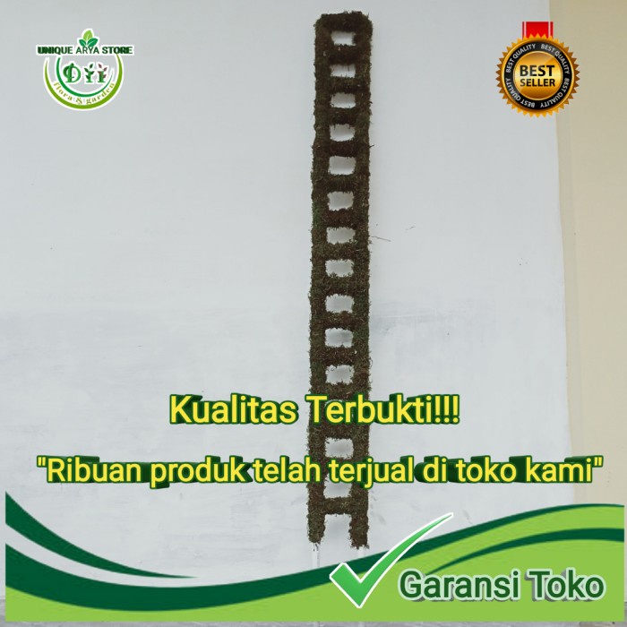 turus tangga lumut hidup 150 cm