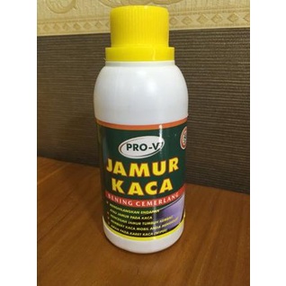 

Pro-V Jamur Kaca Garansi