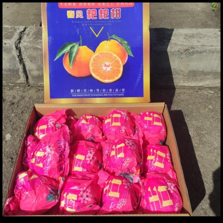 

DISKON BUAH JERUK DEKOPON MANIS XL (SEEDLESS)/ JERUK MANIS/ KADO !!!!!!