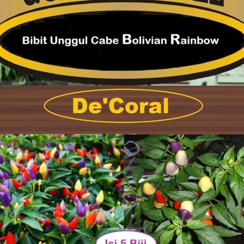 Bibit Cabe Bolivian Rainbow | Benih Cabe Pelangi Bolivian