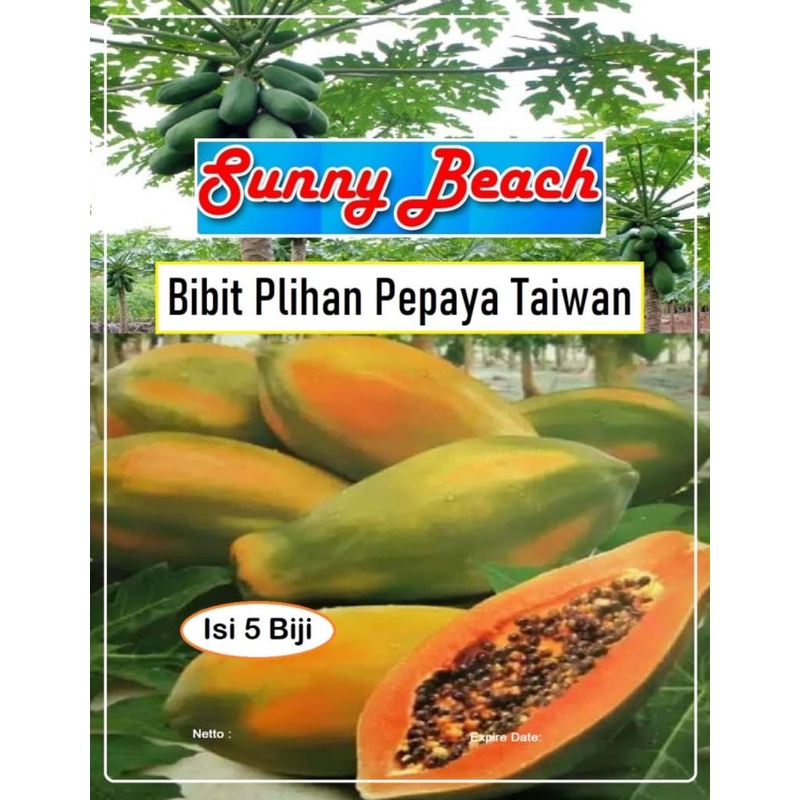 Bibit Pilihan Pepaya Taiwan | Benih Buah Pepaya | Biji Bibit Pepaya