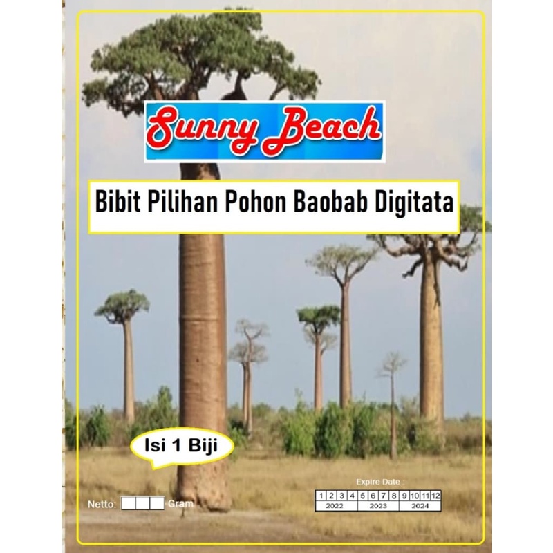 Bibit Pilihan Pohon Baobab Digitata|Bibit Benih Baobab|Pohon Kehidupan