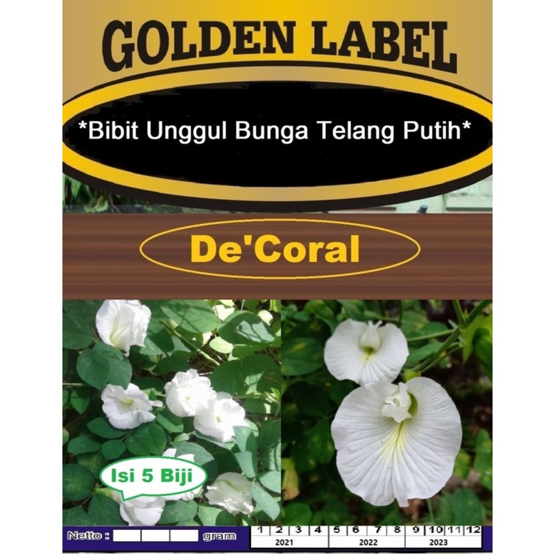 Bibit Unggul Bunga Telang Putih|Benih Bunga Telang|Kembang Telang