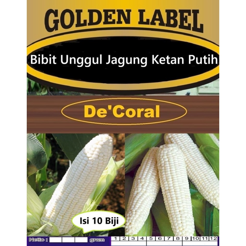 Bibit Unggul Jagung Ketan Putih|Biji Benih Jagung Putih|Bibit Jagung