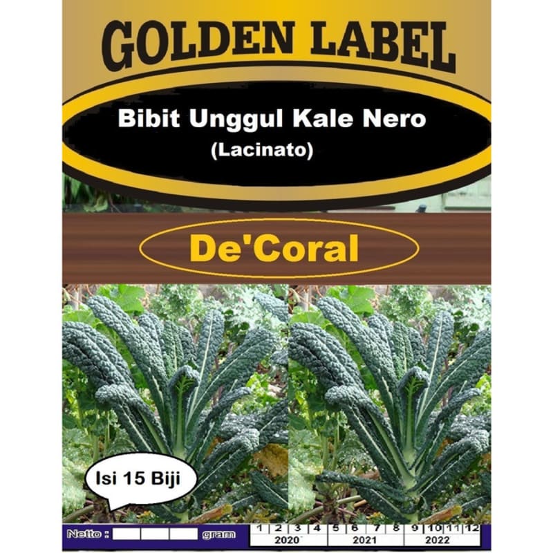 Bibit Unggul Kale Nero Lacinato | Benih Kale Unggul