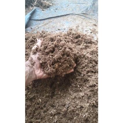 Hot - 20 liter#Humus Bambu_AkarBambu_Media tanam_Pupuk_Organik_PGPR(trierma) 