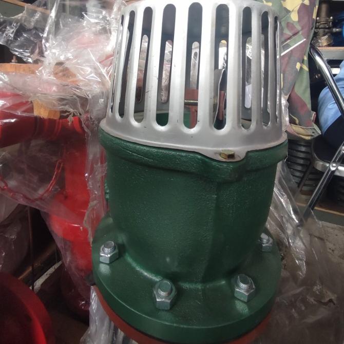 Foot Valve 6Inch Mizzu Flange