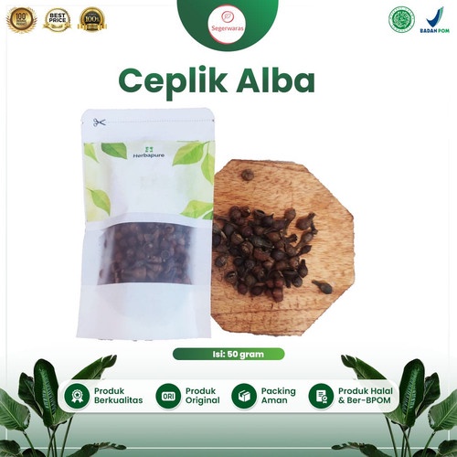 

☘️Segerwaras☘️ 50 GRAM BUAH CEPLIKAN REMPAH CEPLIKSARI CEPLIK SARI ALBA CEPLIK BIJI EUCALYPTUS ALBA SIMPLISIA KERING DRIED