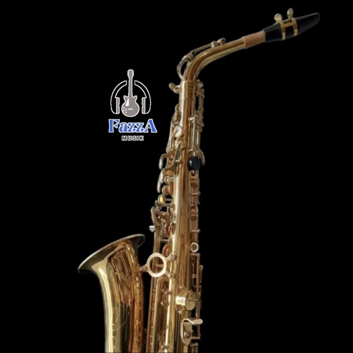 

✨Sale Saxophone Paladin Alto Jass900 Golden Limited