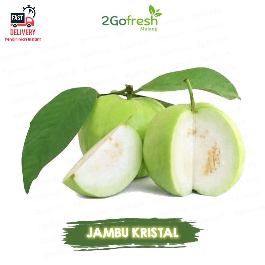 

Buah Jambu Kristal Fresh - Rempah Sayur Sayuran & Buah Buahan