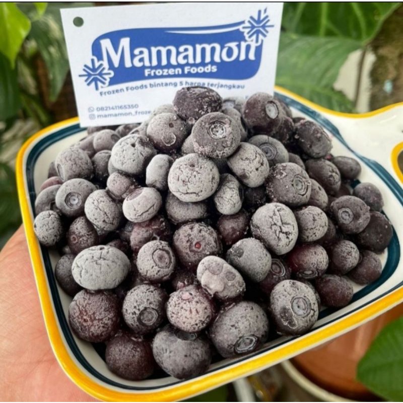 

Blueberry Frozen | Buah Blueberry Impor Frozen IQF -BEST SELLER & BEST PRICE-