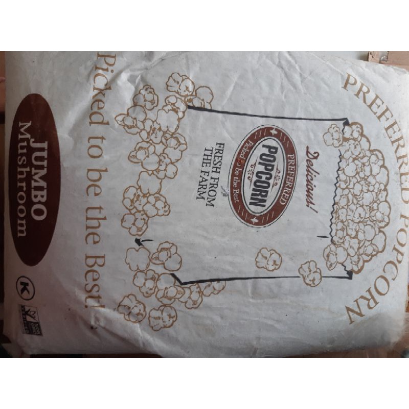 

Jagung Popcorn Jumbo Mushroom 1 Zak