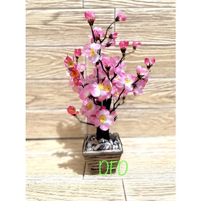 

Terlaris Pohon Angpao / Bunga Sakura / Meihua Pink ( Uk : 35 Cm ) Terbaik