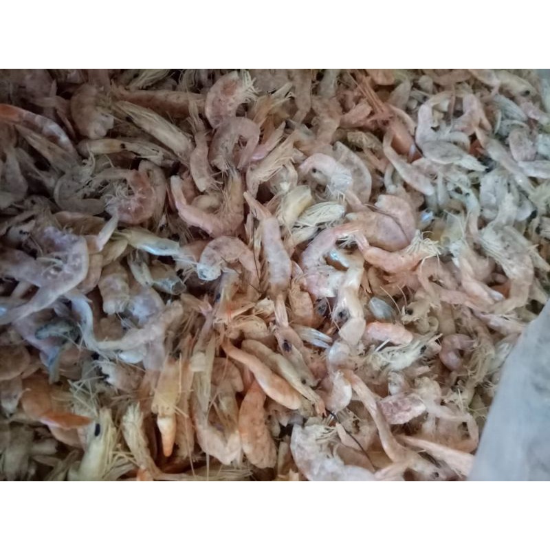 

UDANG KERING INDRAGIRI HILIR