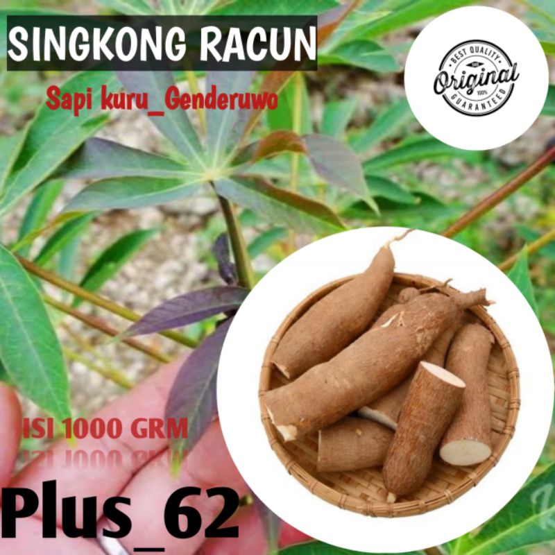 

Singkong Genderuwo/Singkong Racun Sapikuru Singkong 1000Grm Sudah P-IRT