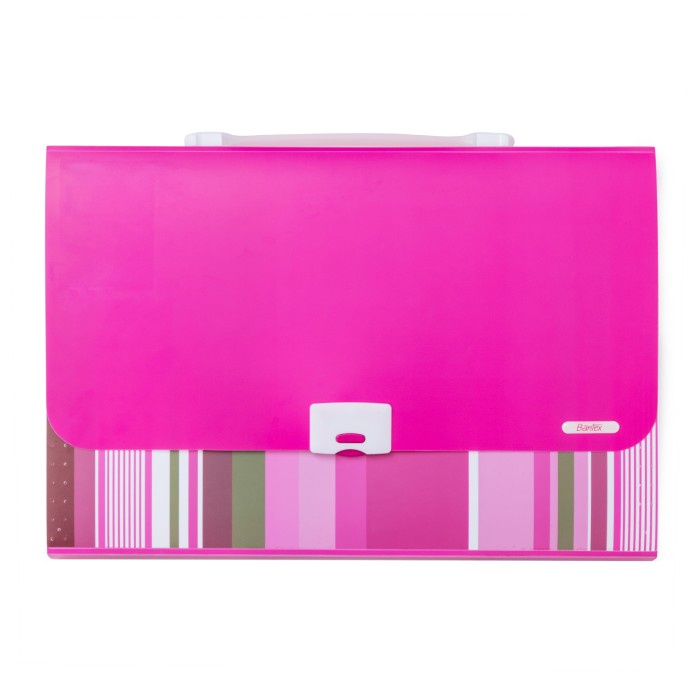 

Promo Bantex Pp Fancy Stripes Expanding File 13 Pocket Folio Pink #3608 19 Terbatas