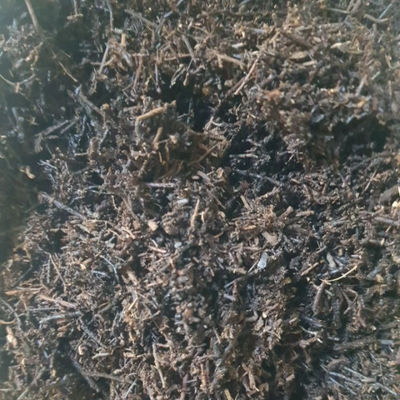 Media Tanam Pakis Cacah Halus Anggrek dan Aglonema 500gr