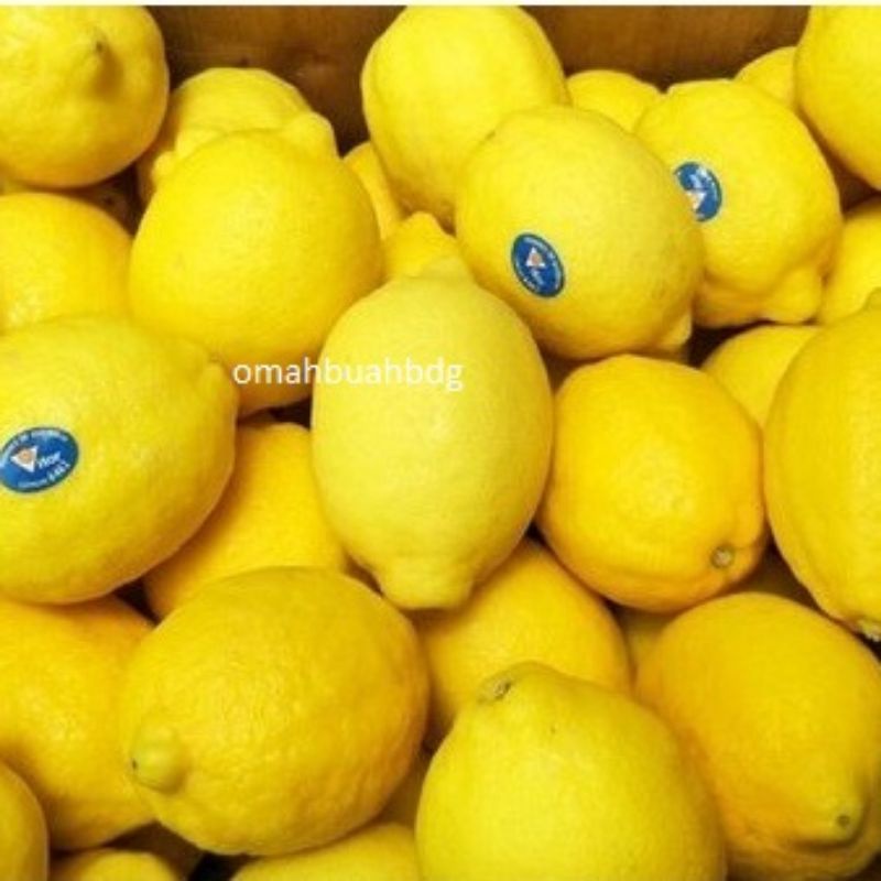 

Lemon Import Buah Lemon Segar