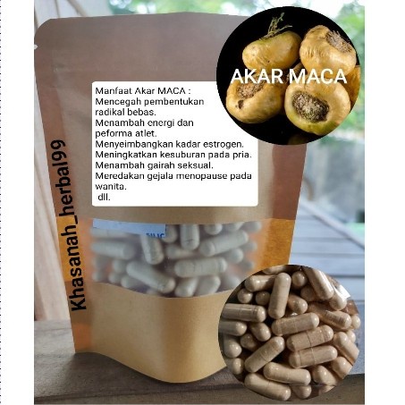 #@#@#@#@] Akar MACA isi 100 kapsul untuk stamina