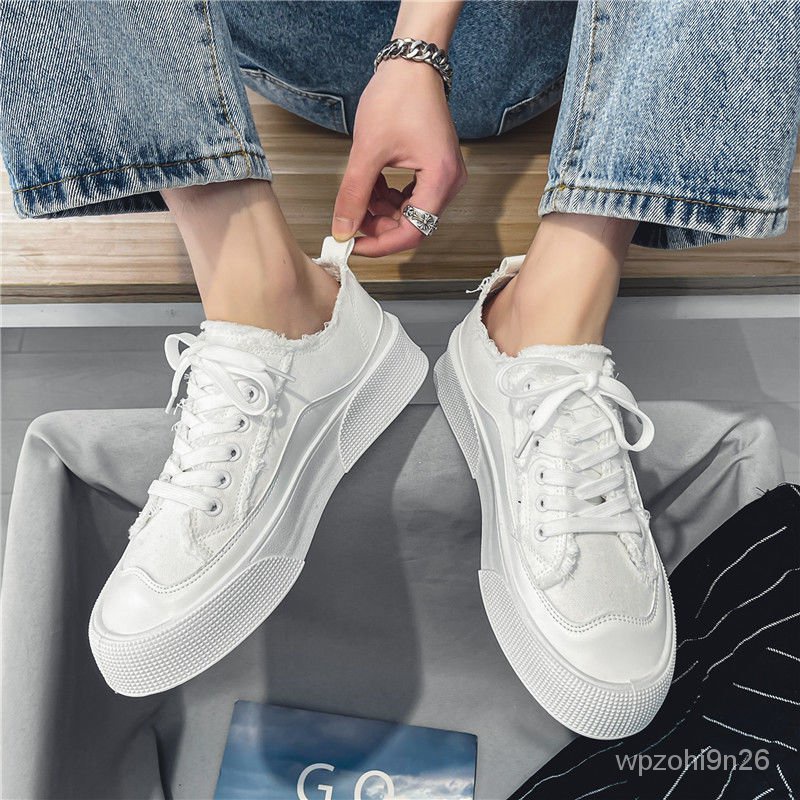 Sepatu Pria Musim Panas Bersirkulasi Sepatu Kain Tipis Sepatu Putih Low-Top Sepatu Pengemis Kasual A