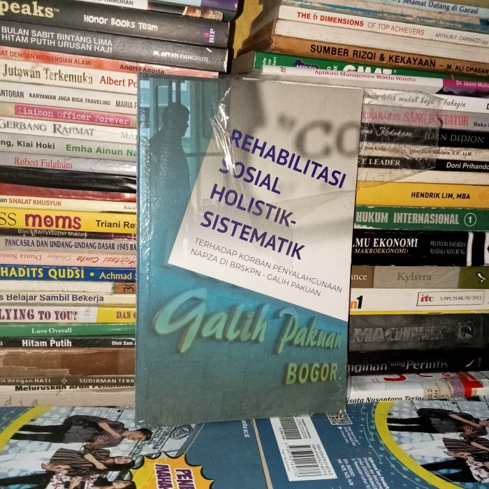 [New Ori] Original Buku Rehabilitasi Sosial Holistik Sistematik Terbatas