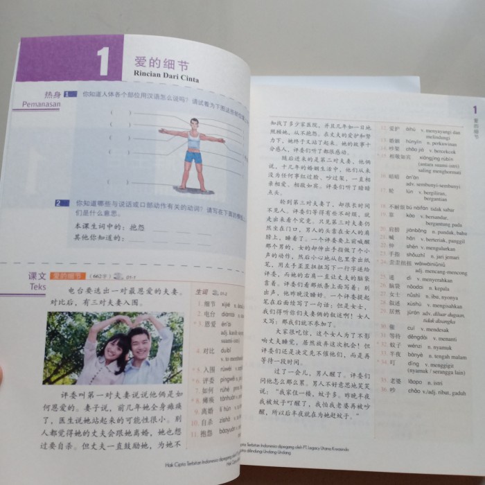 FLASH SALE PAKET BUKU PANDUAN PERSIAPAN & SOAL UJIAN HSK 5 (5 BUKU) TERBARU