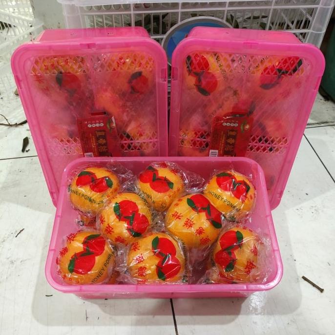 

IMLEK !! MURAH 2 Box Buah Gift Jeruk Santang Birma Daun Parcel Imlek Sinchia TERLARIS